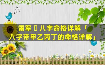 雷军 ☘ 八字命格详解「八字带甲乙丙丁的命格详解」